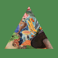 Poison the Well - Modest Mouse