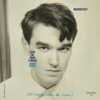 Never Again Will I Be a Twin - Morrissey