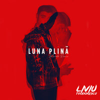 Luna Plina - Liviu Teodorescu, Manda