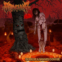 Born of a Hanged Corpse - Strychnia
