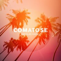 Comatose - Nicolas Haelg