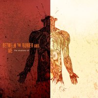 Blackened - Between the Buried and Me