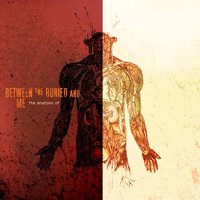 Territory - Between the Buried and Me