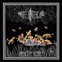 Lindberghs + Metal Birds - White Hinterland