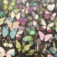Бабочки - Елена Темникова