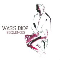 Everything (... Is Never Quite Enough) - Wasis Diop