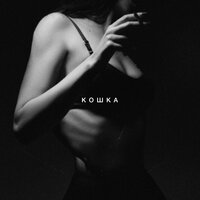 Кошка - SIDXKICK