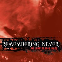 Big Jims Mistake - Remembering Never