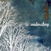 Butterfly - Wintersleep