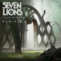 Calling You Home - Seven Lions, Runn, Direct