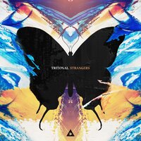 Strangers - Tritonal