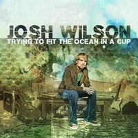 Pull Me Through - Josh Wilson