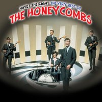 Without You It Is Night - The Honeycombs