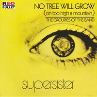 No Tree Will Grow (On Too High A Mountain) - Supersister
