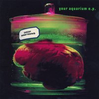 My Aquarium (Second Time Around) - Drop Nineteens