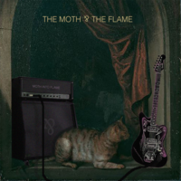 Moth Into Flame - The Moth & The Flame
