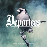 Turn BackTime - Deportees