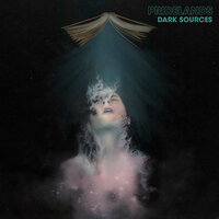 Dark Sources - Pridelands