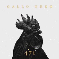471 - Gallo Nero