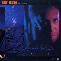 Lonely Teardrops - Robby Krieger