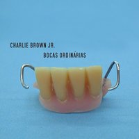 Não Fure Os Olhos Da Verdade - Charlie Brown JR.