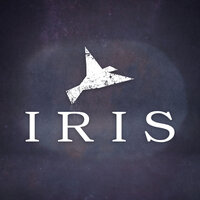 Iris - Flight Paths