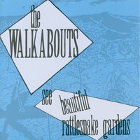 John Reilly - The Walkabouts