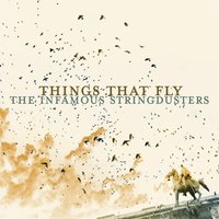 Not Tonight - The Infamous Stringdusters