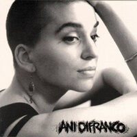 The Story - Ani DiFranco