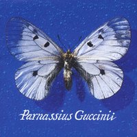 Canzone Per Silvia - Francesco Guccini