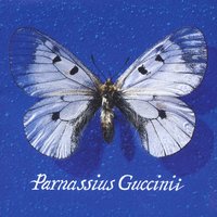 Parole - Francesco Guccini