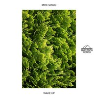 Wake Up - Mike Mago