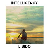 Libido - Intelligency