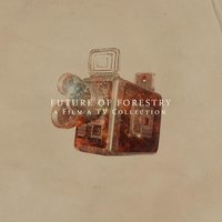 You And I - Future Of Forestry