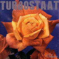 Es fehlte was im 2ten Karton - Turbostaat