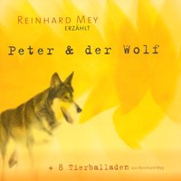 Der Bär, Der Ein Bär Bleiben Wollte - Reinhard Mey