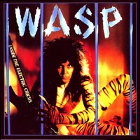 The Rock Rolls On - W.A.S.P.