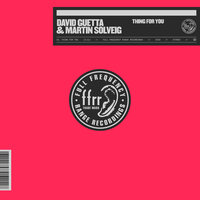Thing For You - David Guetta, Martin Solveig