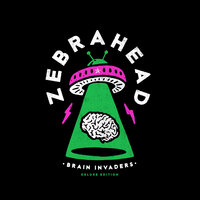 You Don’t Know Anything About Me - Zebrahead