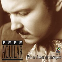 Despues de Tanto - Pepe Aguilar