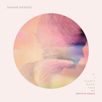 If I Can't Have You - Shawn Mendes, GRYFFIN