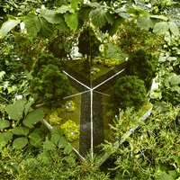 Complex - Leellamarz