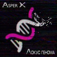 Локус генома - Asper X