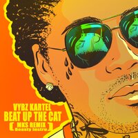 Beat up the Cat - VYBZ Kartel