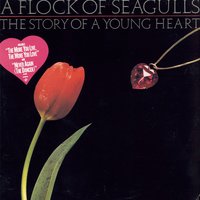 Never Again (The Dancer) - A Flock Of Seagulls