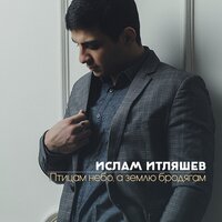 Птицам небо, а землю бродягам - 