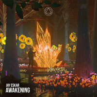 Awakening - Jay Eskar