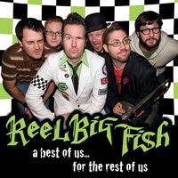 Where Have You Been - Reel Big Fish