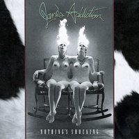 Standing in the Shower...Thinking - Jane's Addiction