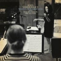The Piano Lesson - John Vanderslice